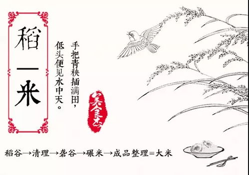 米文化 智米糧棧的千年韻味與谷類作物的智慧