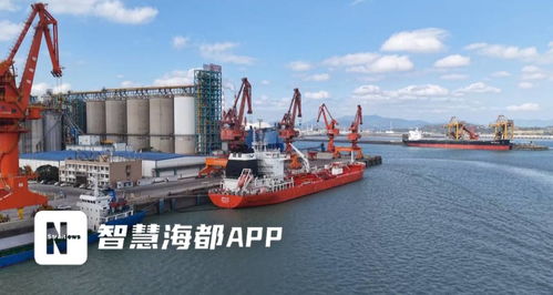 福建糧油新突破 首批6000噸大豆油成功出口，倉儲服務護航國際市場首航