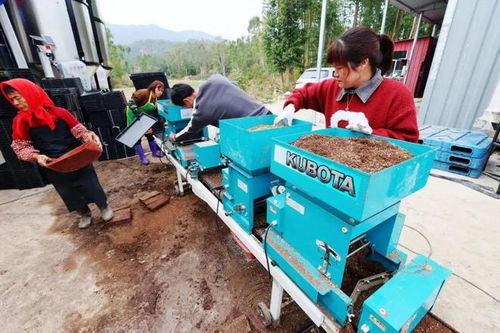 守好“飯碗田”，穩(wěn)住“米袋子”——南安市多措并舉提升糧油倉(cāng)儲(chǔ)服務(wù)水平