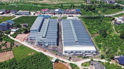 農(nóng)業(yè)“四中心”投用，精準(zhǔn)服務(wù)萬(wàn)畝糧田，筑牢糧油倉(cāng)儲(chǔ)服務(wù)新基石